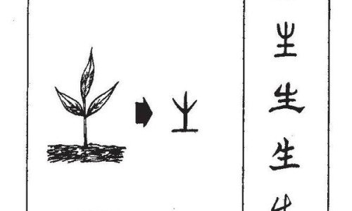 摩罗丹的副作用和禁忌-权威长期吃摩罗丹的副作用平台,分享专业摩罗丹的副作用与危害知识_摩罗丹的副作用网